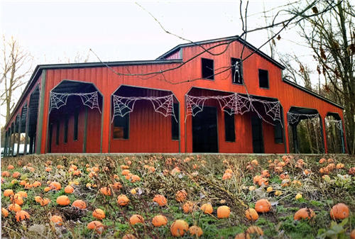 carport metal building image